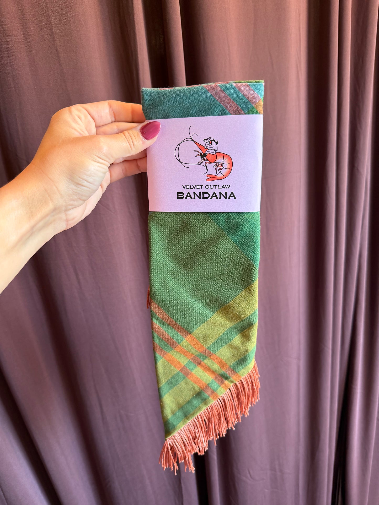 Fall Plaid Fringe Bandana