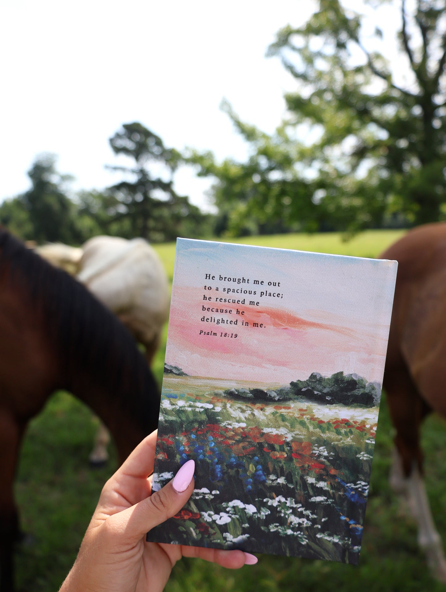 Coram Theme Notebook