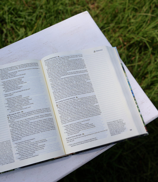 NLT Journaling Bible, Coram Theme